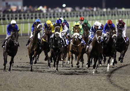 Meydan in action