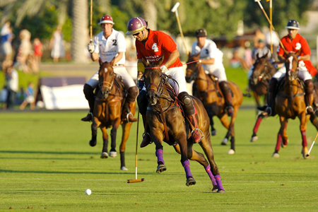 Dubai Polo Clubhtth